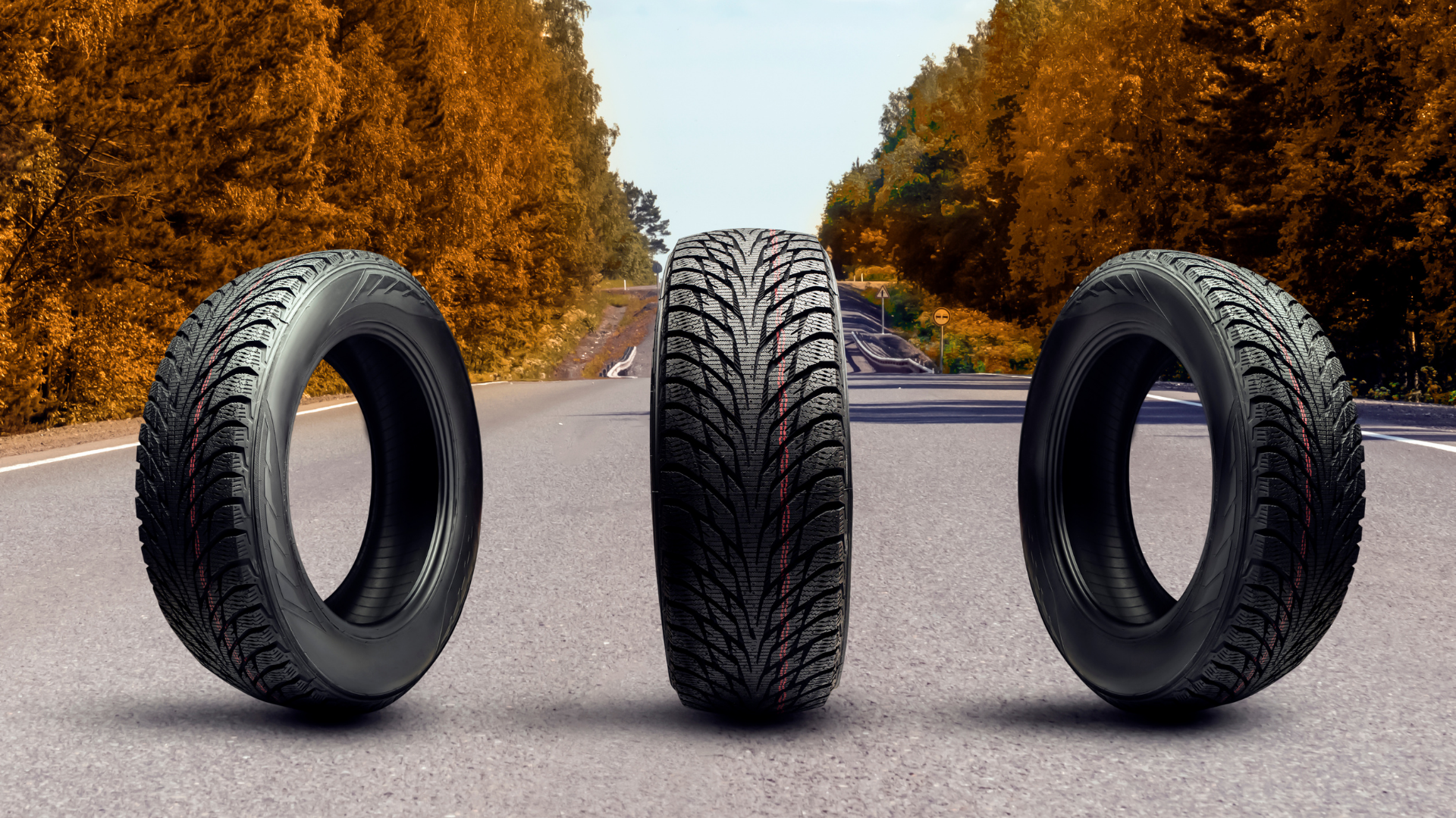 Sustentabilidade e Performance